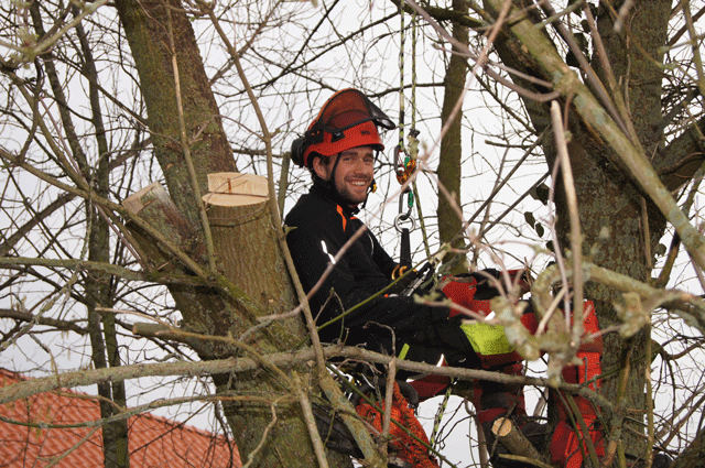 In signalfarbiger Arbeitskleidung freut sich der Holzfäller inmitten einer Baumkrone über seine Arbeit